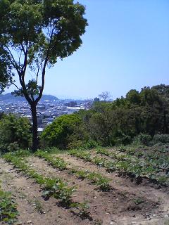 c0046316_21253868.jpg