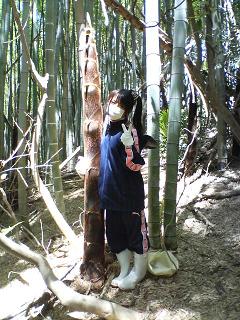 c0046316_2128224.jpg
