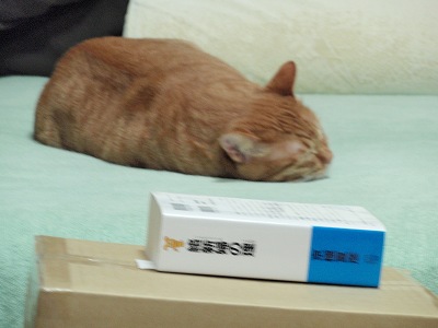 c0145016_015556.jpg