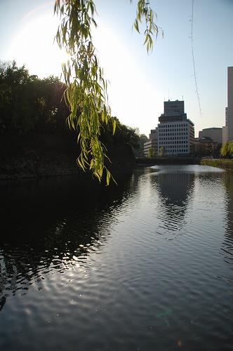c0147116_0412398.jpg