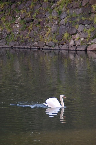 c0147116_0413221.jpg