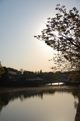 c0147116_041564.jpg