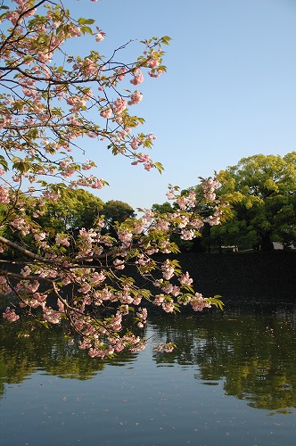 c0147116_042442.jpg