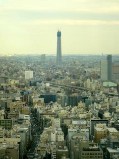 d0087418_145042.jpg