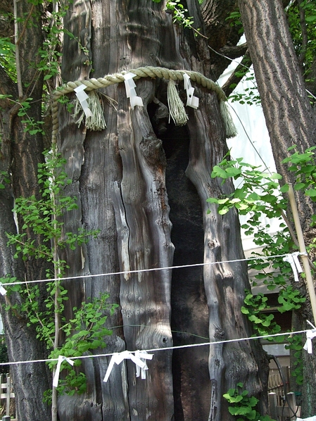 d0022722_7463039.jpg