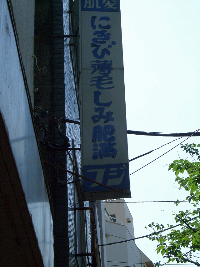 d0022722_804561.jpg
