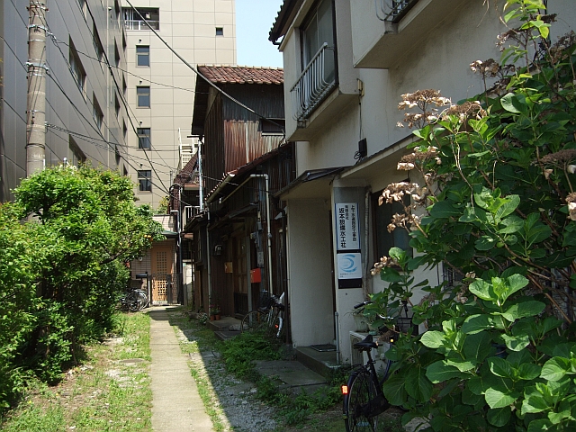 d0022722_815337.jpg