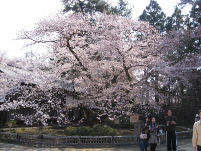 b0147224_23462551.jpg