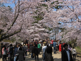 b0147224_234722100.jpg