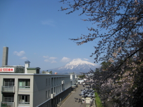 b0147224_23493965.jpg