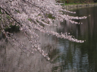 b0147224_23514115.jpg