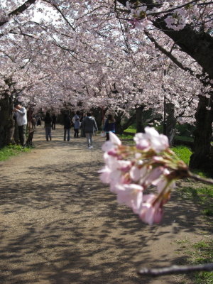 b0147224_23554757.jpg