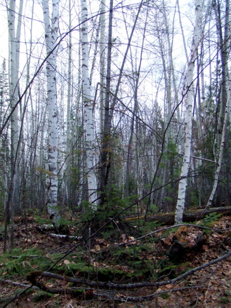 f0235224_22265679.jpg