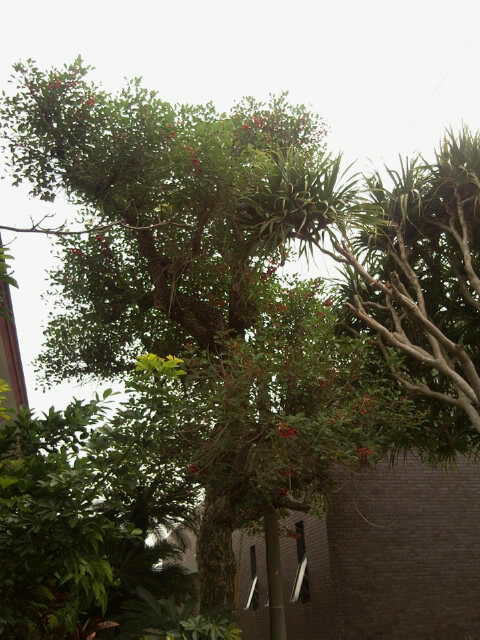 f0197325_14171923.jpg