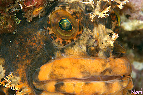 b0044726_17303634.jpg