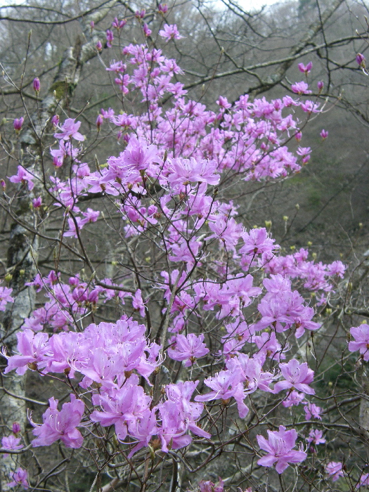 f0103126_825567.jpg