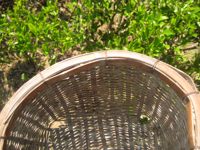 d0147727_20181550.jpg