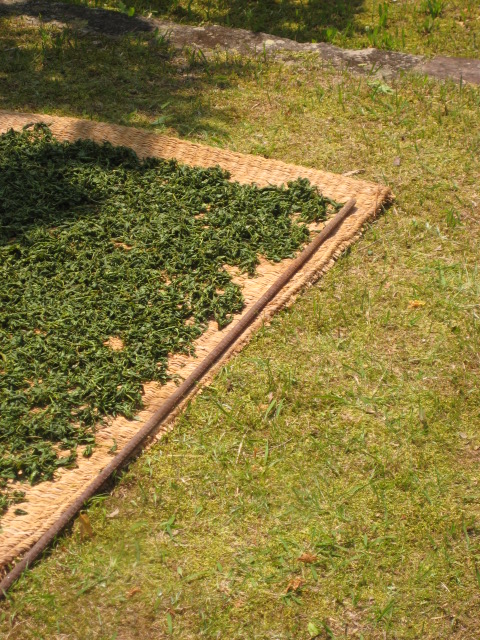 d0147727_20273542.jpg