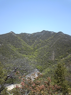 a0126128_201264.jpg
