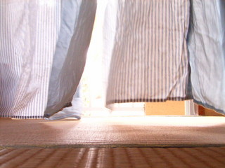a0070831_936565.jpg