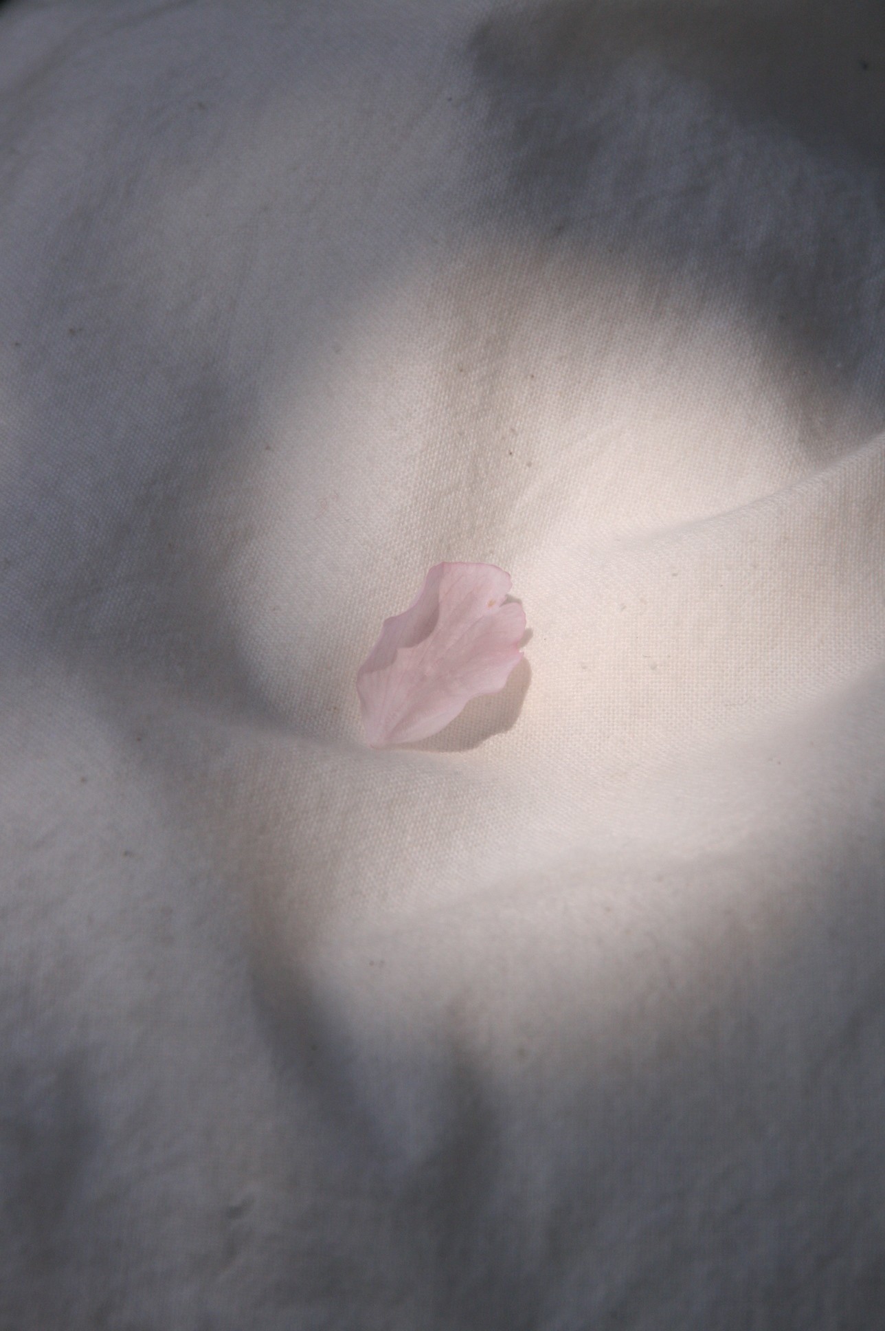 d0140533_16232184.jpg