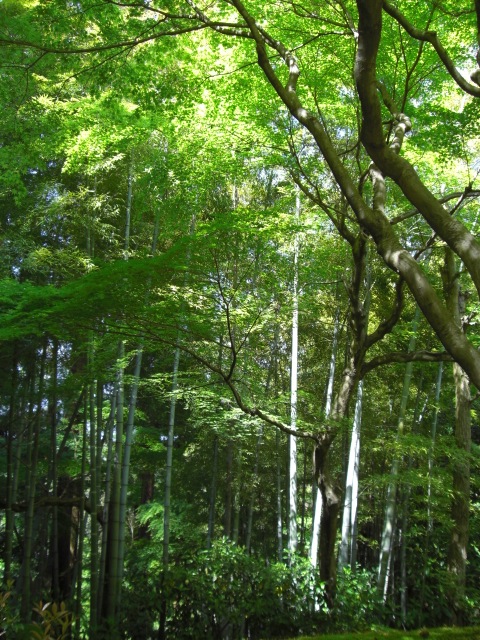 e0081334_19271271.jpg