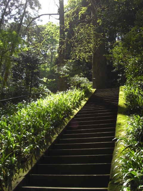 e0081334_19272459.jpg