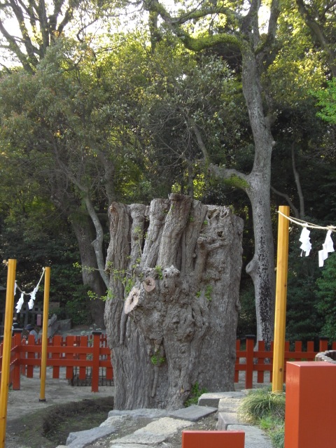 e0081334_1941911.jpg