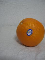 f0212035_18452295.jpg