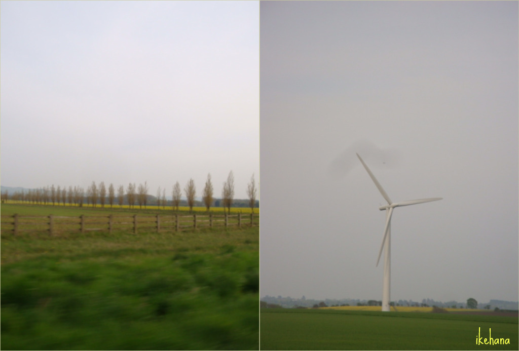 c0163436_2149647.jpg