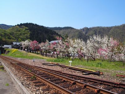 d0079440_19223679.jpg