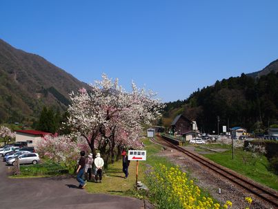 d0079440_20161786.jpg