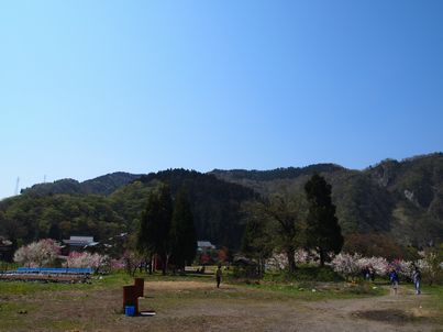 d0079440_20531144.jpg
