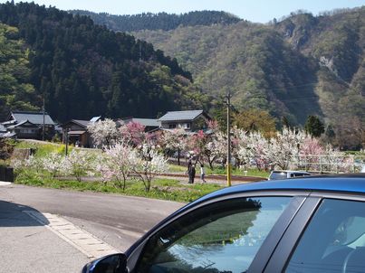 d0079440_21302958.jpg