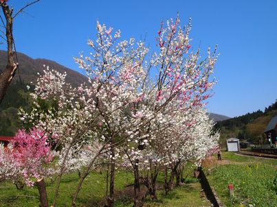 d0079440_213042.jpg