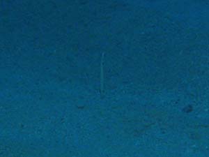 f0014842_1795645.jpg