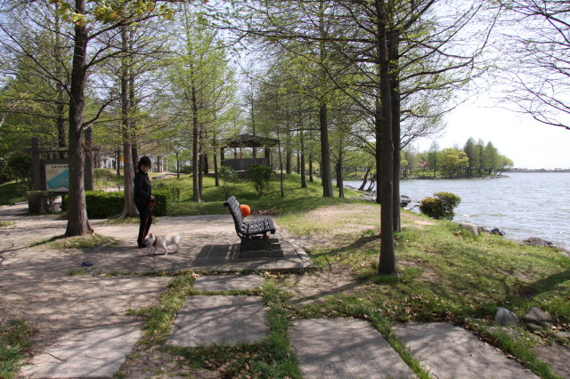 e0169243_21363667.jpg