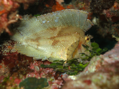 d0065247_21215283.jpg