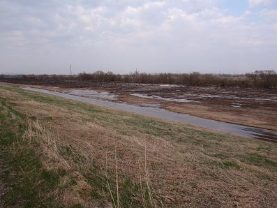 a0156548_2052614.jpg