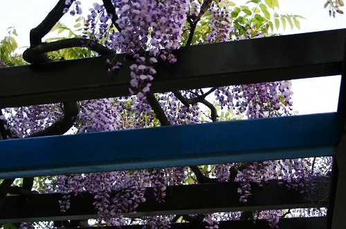 c0043751_02674.jpg