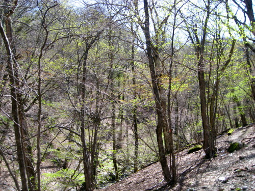 c0179351_17253059.jpg