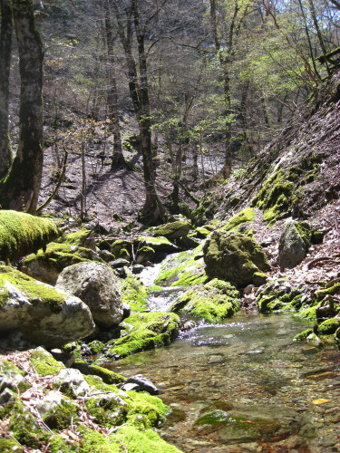 c0179351_17271952.jpg