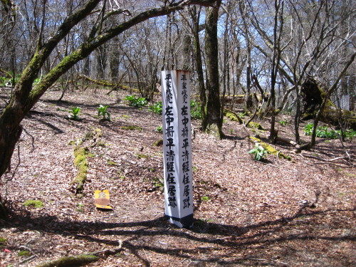 c0179351_17352951.jpg