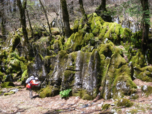 c0179351_1737019.jpg
