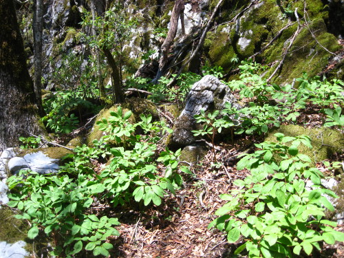c0179351_17372983.jpg