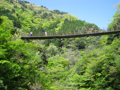 c0179351_17454959.jpg