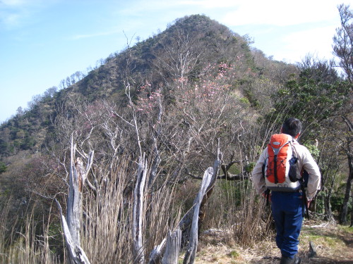 c0179351_1912446.jpg