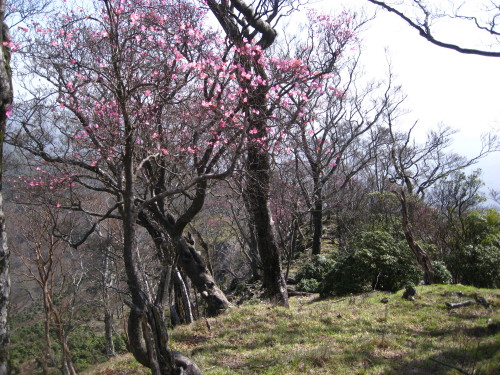 c0179351_19175477.jpg