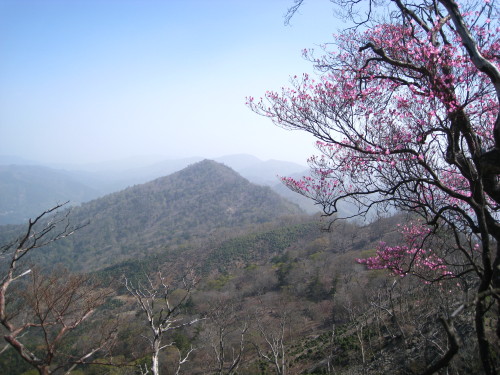 c0179351_19193146.jpg