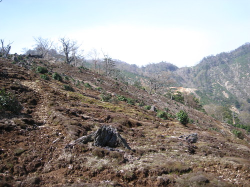 c0179351_19211774.jpg